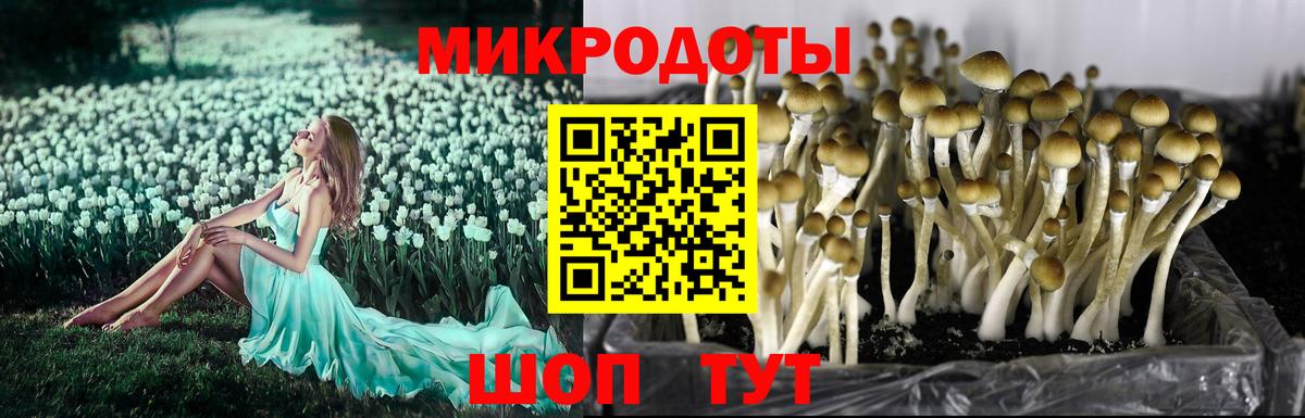 Галлюциногенные грибы Magic Shrooms Избербаш